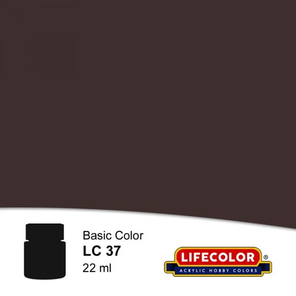 Matt Burnt Umber (22ml)